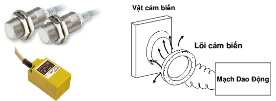 cam-ung-tu